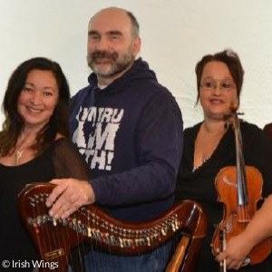 Fünf Musiker der Gruppe Irish Wings mit ihren Instrumenten